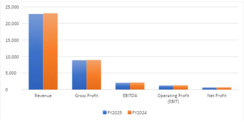 Financial Performance Analysis